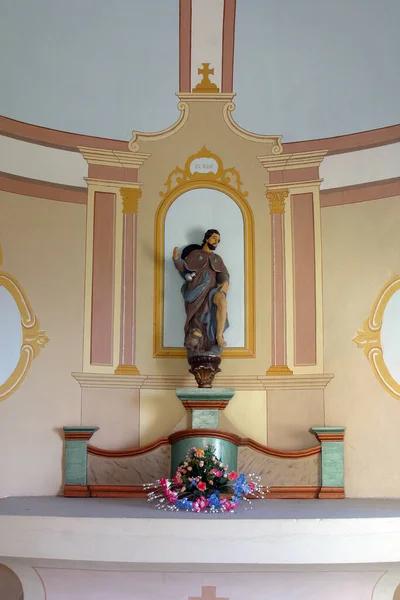 Άγιος Roch Ένα Άγαλμα Στο Παρεκκλήσι Του Αγίου Roch Στην — Φωτογραφία Αρχείου