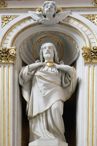 Jeesuksen Pyhä Sydän Pyhän Sydämen Alttari Pyhän Teresan Katedraalissa Avilassa — kuvapankkivalokuva