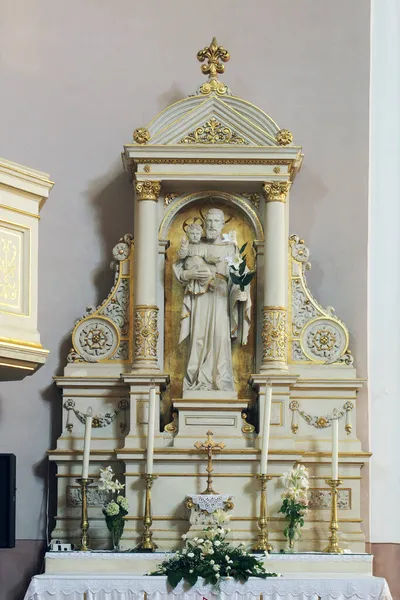Святий Йосип Жертовник Соборі Святої Терези Бєловарі Хорватія — стокове фото