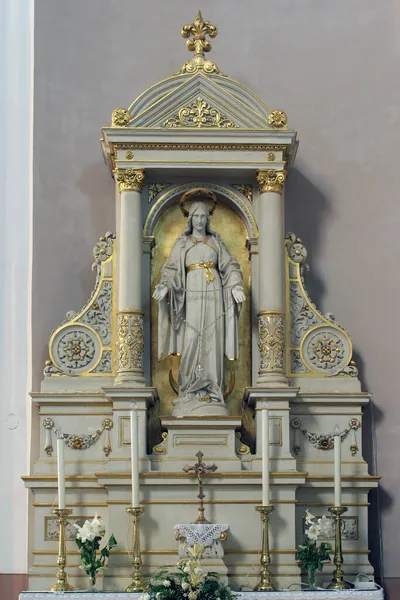 Santísima Virgen María Altar Catedral Santa Teresa Ávila Bjelovar Croacia — Foto de Stock