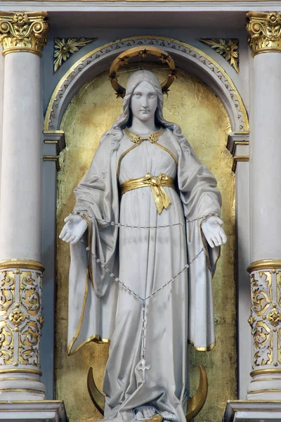 Najświętsza Maryja Panna Ołtarz Katedrze Teresy Avila Bjelovar Chorwacja — Zdjęcie stockowe