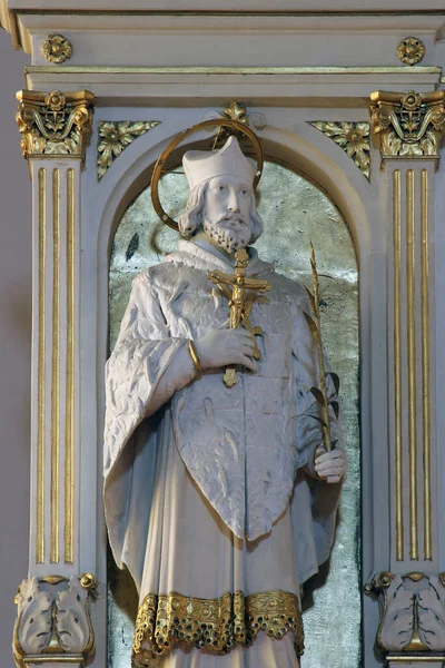 San Giovanni Nepomuceno Altare Maggiore Nella Cattedrale Santa Teresa Avila — Foto Stock