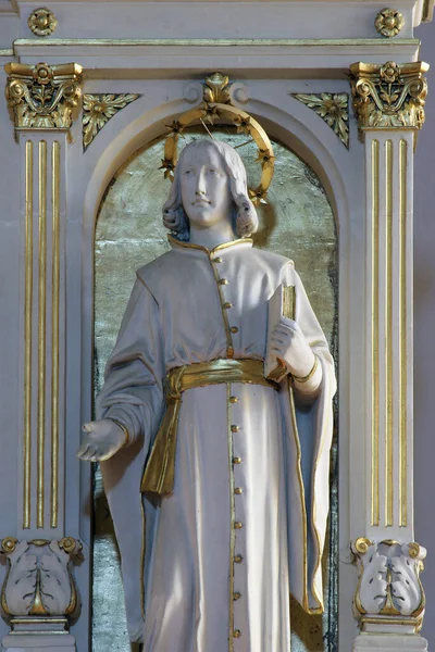 Saint Joseph Calasanz Main Altar Cathedral Saint Teresa Avila Bjelovar — Stock Photo, Image