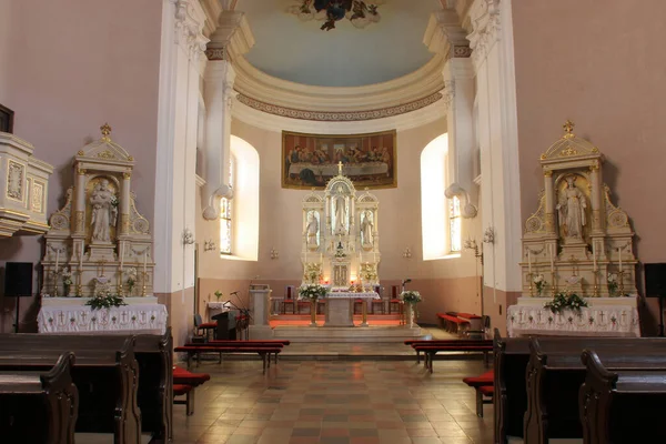 Catedral Santa Teresa Ávila Bjelovar Croácia — Fotografia de Stock