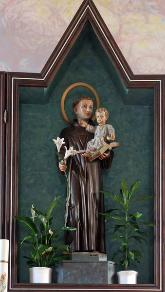 聖アンソニーは クロアチアのビェロヴァールにあるパドヴァの聖アンソニー教会の主祭壇である赤ん坊イエスを保持しています — ストック写真