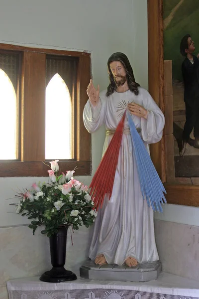 Святое Сердце Иисуса Церковь Святого Антония Падуанского Беловаре Хорватия — стоковое фото