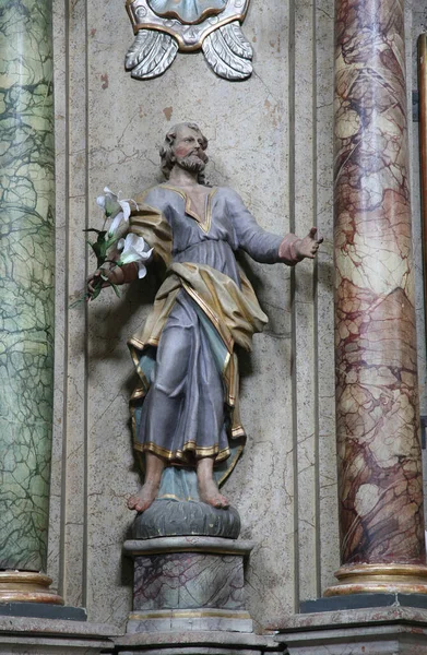 Sint Jozef Standbeeld Het Altaar Van Onbevlekte Ontvangenis Franciscaanse Kerk — Stockfoto