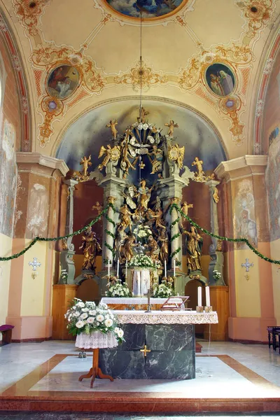 Altar Principal Igreja Assunção Virgem Maria Zlatar Croácia — Fotografia de Stock