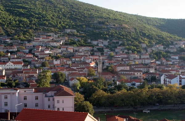 Blato Isla Korcula Ciudad Histórica Región Sur Dalmacia Croacia — Foto de Stock
