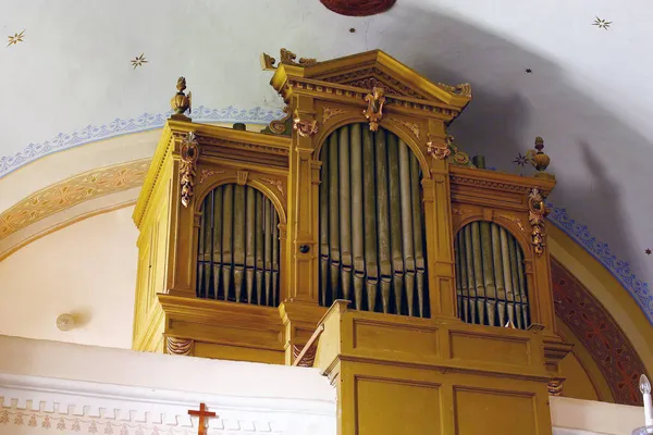 Orgel Parochiekerk Van Maria Magdalena Veliki Bisag Kroatië — Stockfoto