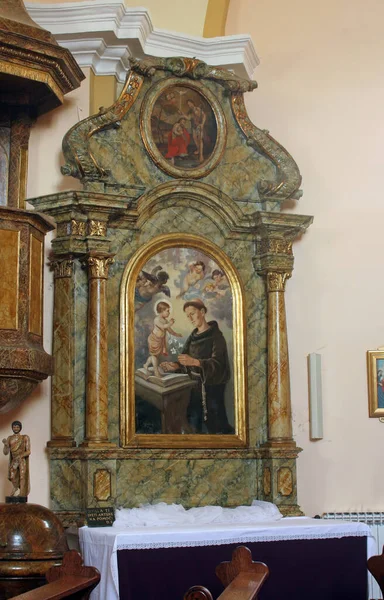 Βωμός Του Αγίου Αντωνίου Της Πάδοβας Στην Εκκλησία Του Αγίου — Φωτογραφία Αρχείου