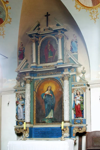Ołtarz Najświętszej Marii Panny Kościele Matki Bożej Śnieżnej Volavje Chorwacja — Zdjęcie stockowe