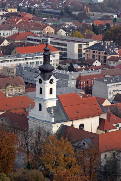 Καθεδρικός Ναός Της Αγίας Τερέζας Της Avila Στο Bjelovar Κροατία — Φωτογραφία Αρχείου