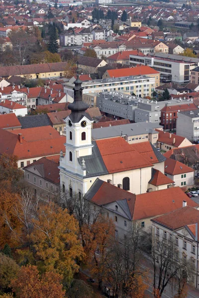 Catedral Santa Teresa Ávila Bjelovar Croácia — Fotografia de Stock