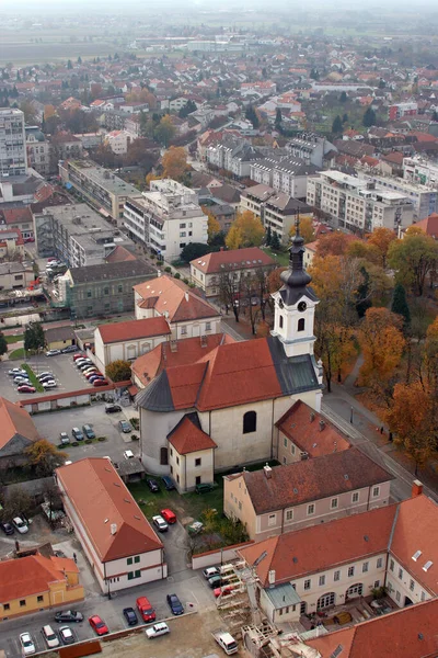 Katedralen Saint Teresa Avila Bjelovar Kroatien — Stockfoto