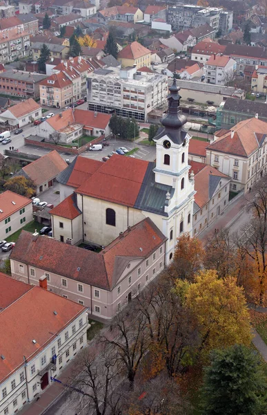 Cattedrale Santa Teresa Avila Bjelovar Croazia — Foto Stock