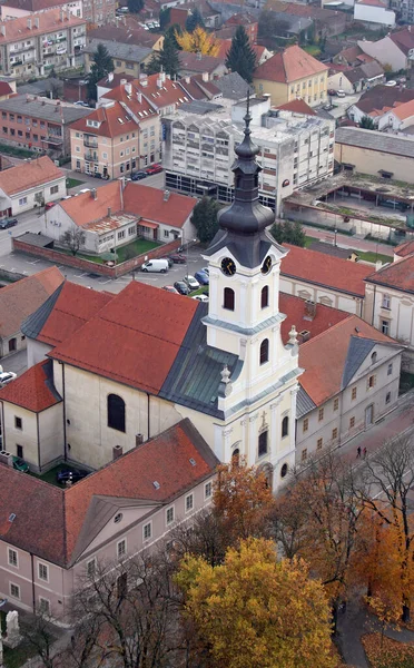 Catedral Santa Teresa Ávila Bjelovar Croacia — Foto de Stock