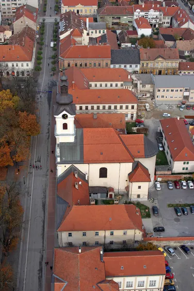 Catedral Santa Teresa Ávila Bjelovar Croácia — Fotografia de Stock