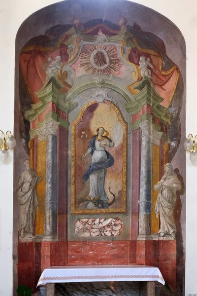 Алтарь Непорочного Зачатия Церкви Святых Сесвете Хорватия — стоковое фото