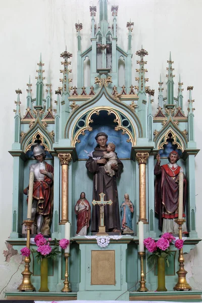 克罗地亚Ciglena的Saints Simon和Jude教区教堂的Padua圣安东尼祭坛 — 图库照片