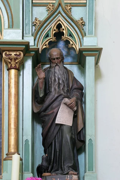 Aziz Elijah Hırvatistan Ciglena Kentindeki Aziz Simon Jude Kilisesi Nde — Stok fotoğraf