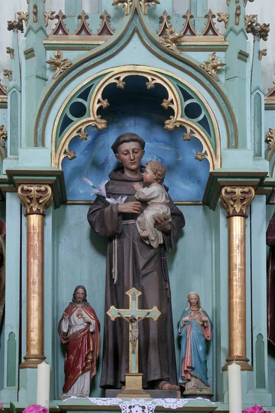 Autel Saint Antoine Padoue Dans Église Paroissiale Des Saints Simon — Photo