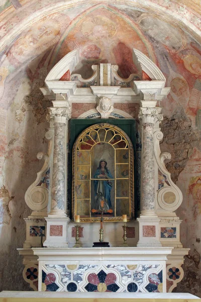 Altar Iglesia Virgen María Lakuc Draga Podno Dvigrada Croacia —  Fotos de Stock