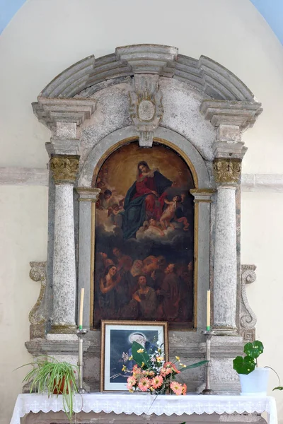 Вівтар Богоматері Скапулярної Парафіяльній Церкві Святого Петра Кара Хорватія — стокове фото