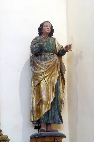 São João Evangelista Apóstolo Estátua Igreja São Francisco Xavier Vugrovec — Fotografia de Stock