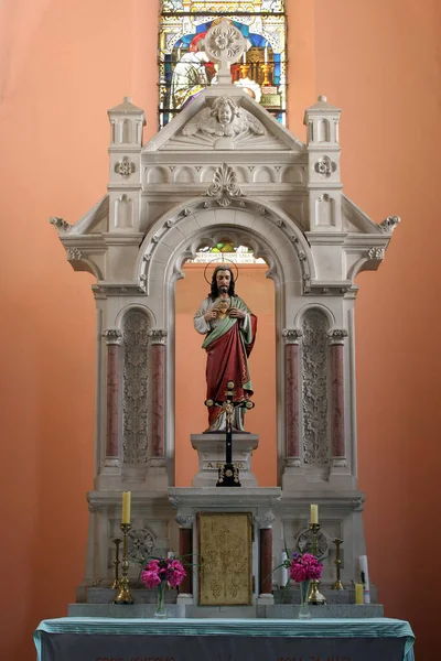 Sagrado Corazón Jesús Altar Iglesia San Mauro Abad Bosiljevo Croacia — Foto de Stock