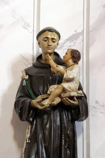 Saint Anthony Staty Saint Anthony Padua Altare Kyrkan Saint Barbara — Stockfoto