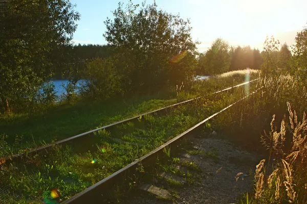 Chemin de fer au coucher du soleil — Photo