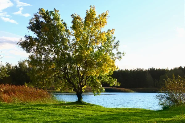 Paisaje otoñal con lago — Foto de Stock