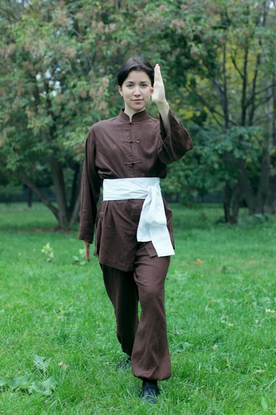 Mulher praticando kung fu — Fotografia de Stock