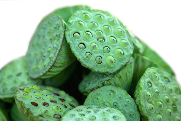 Lotus seeds — Stock Photo, Image