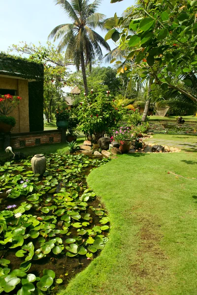 Mooie tropische tuin — Stockfoto