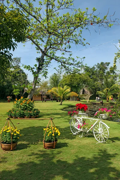 Beautifully manicured park garden in tropics — Stock Photo, Image