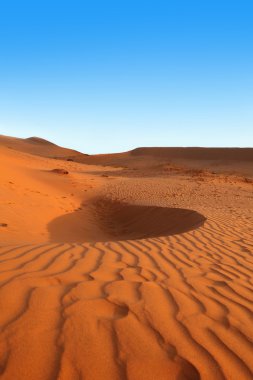 Kızıl kum tepeleri vietnam