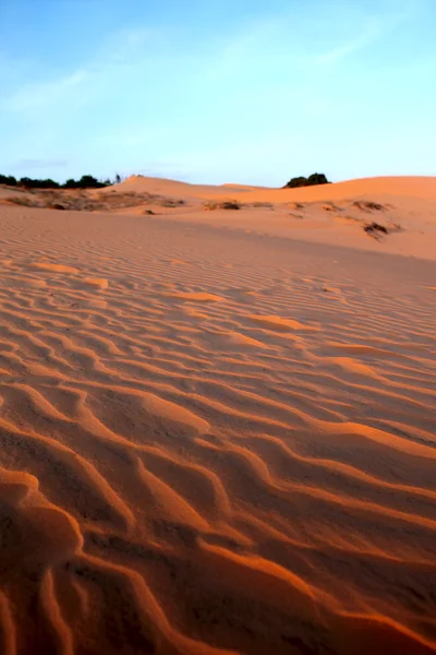 Red Sand Dunes. Sunset — Stock Photo, Image