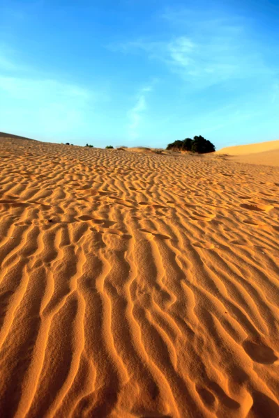 Red Sand Dunes. Sunset — Stock Photo, Image