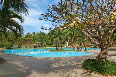 Yüzme Havuzu ile tropikal tatil
