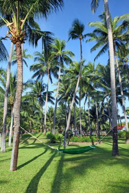 hamakta manikürlü park Bahçe