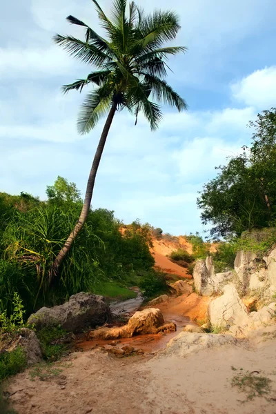 Red Canyon between jungle. Vietnam — Stock Photo, Image