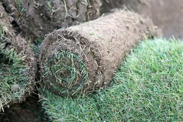 Turf grass rolls — Stock Photo, Image