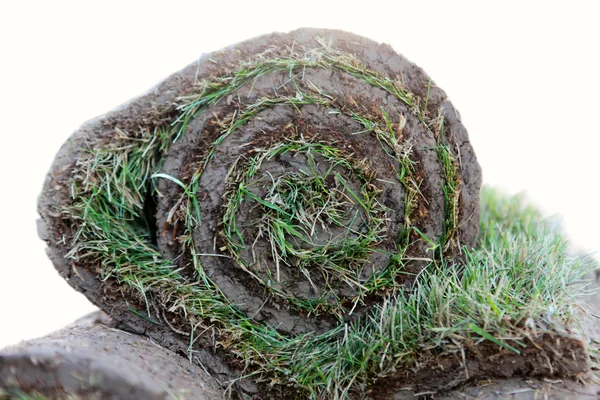 Gras gras roll — Stockfoto