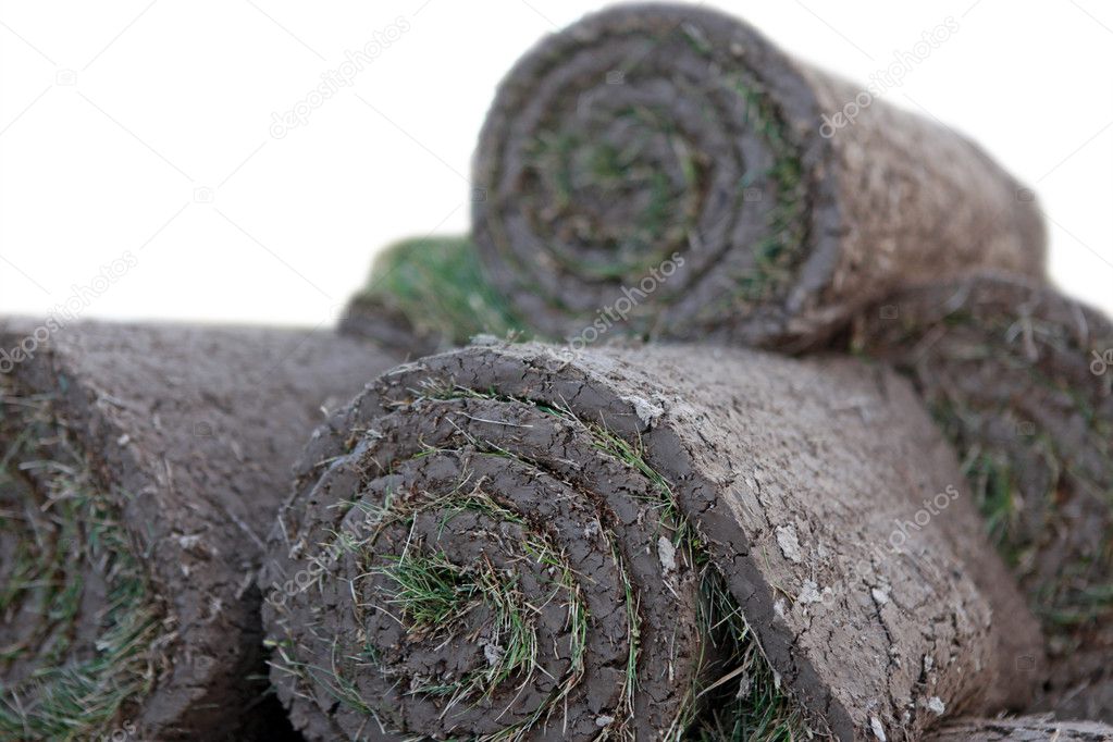 Turf grass rolls