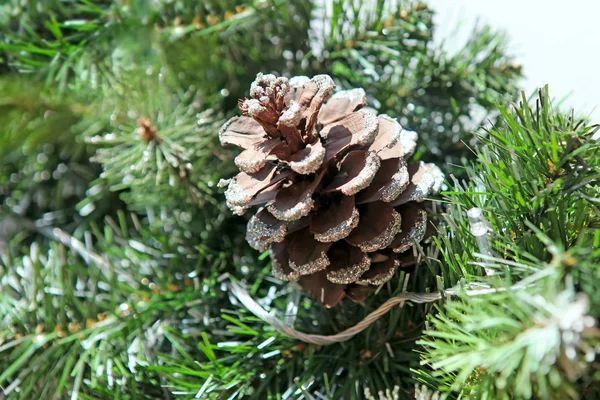 Cone on the christmas tree — Stock Photo, Image