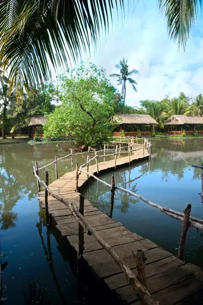 Wooden bridge over a lake in tropical park — Stock Photo, Image