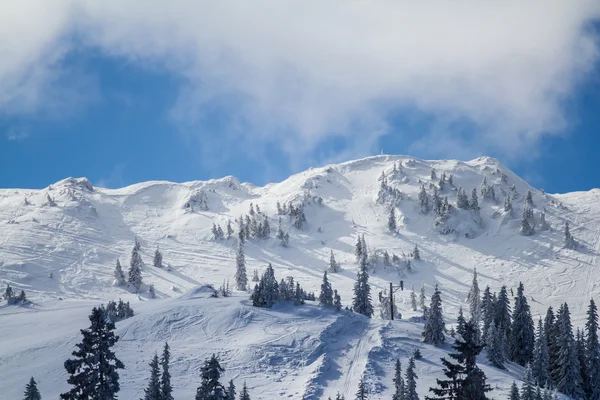 Snow mountain — Stock Photo, Image