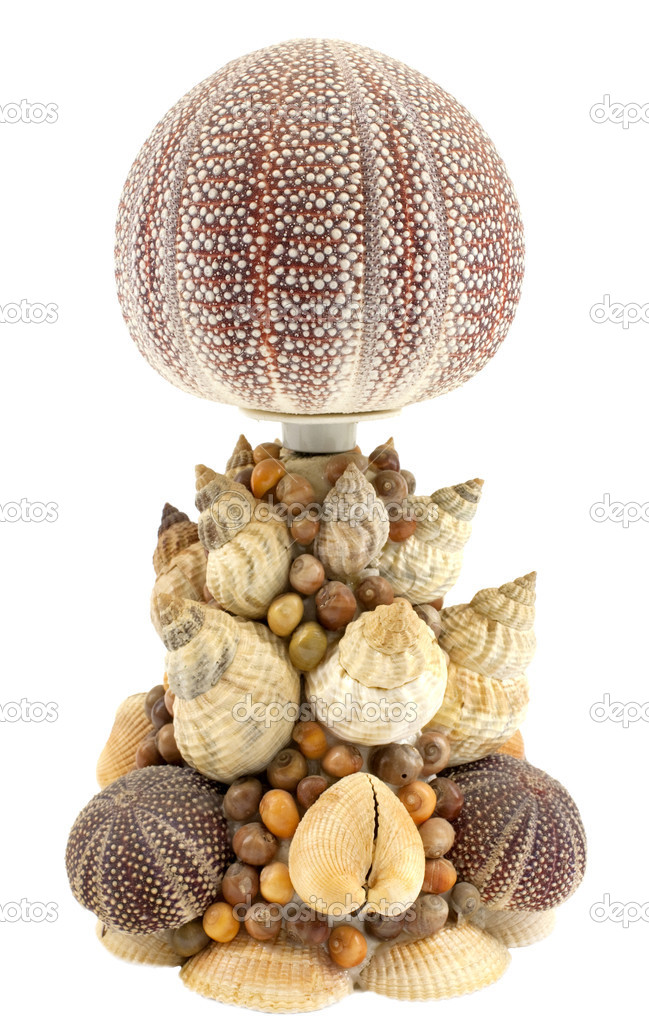 Sea shell lamp